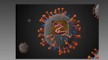 تحذيرات صحية عالمية.. سبل الوقاية من فيروس نيباه بعد انتقاله للبشر بآسيا